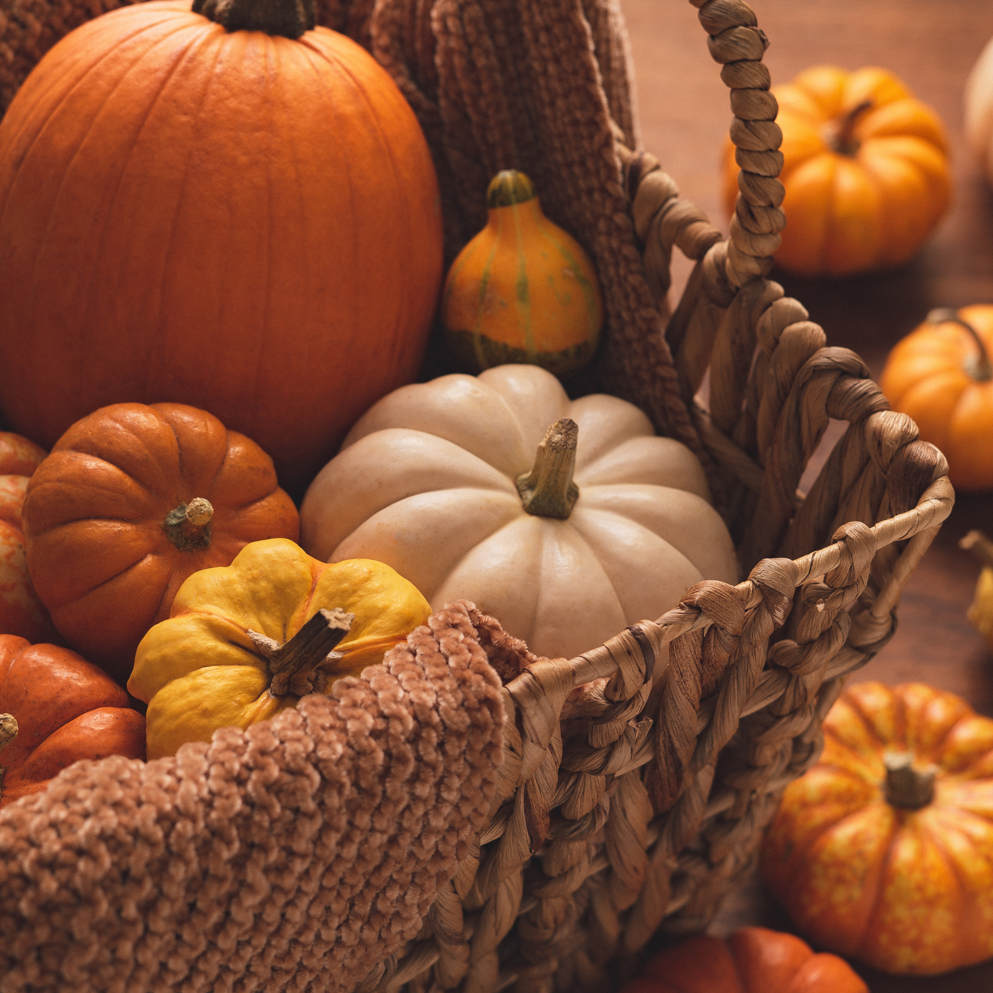 A basket of pumpkins