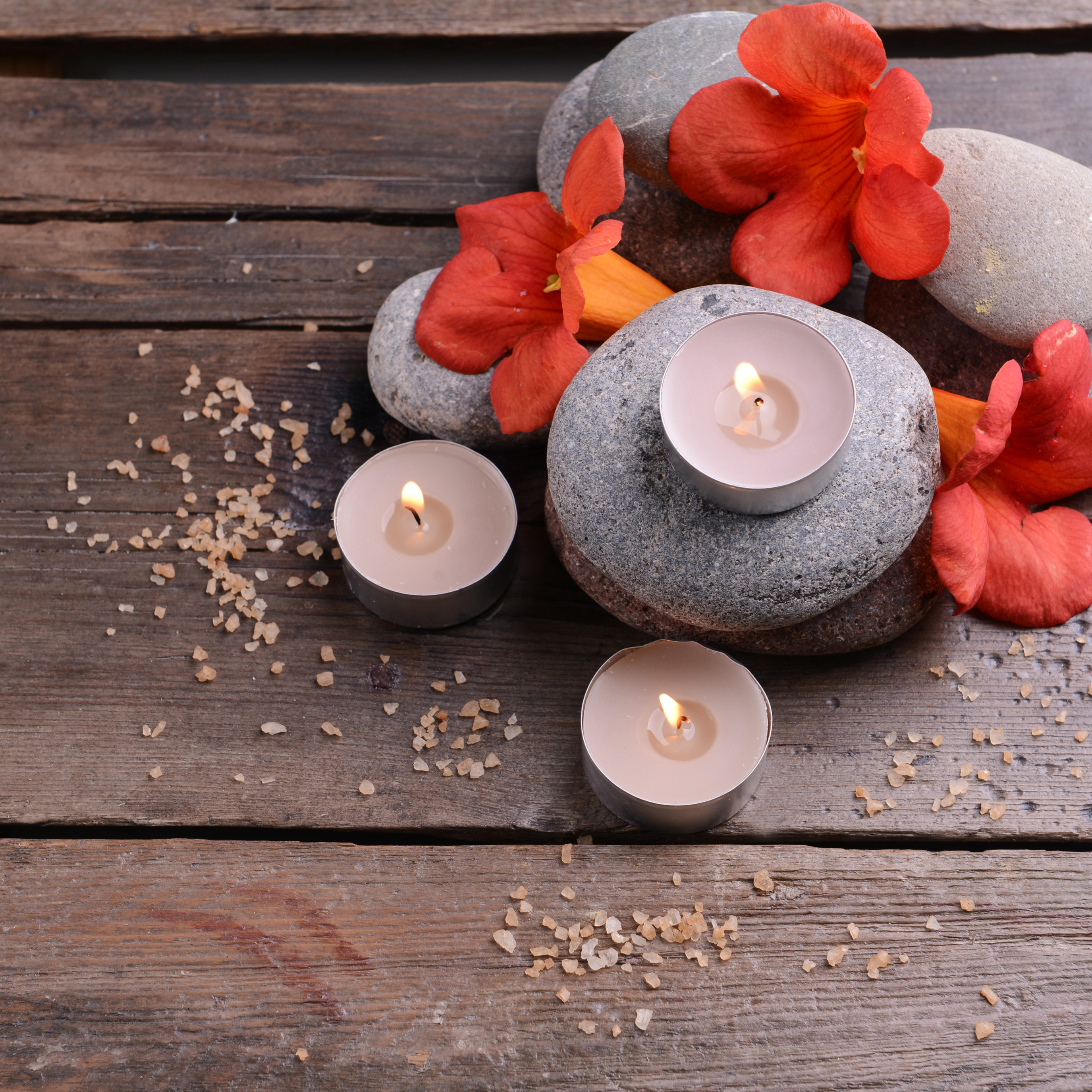 The Wellness Collection