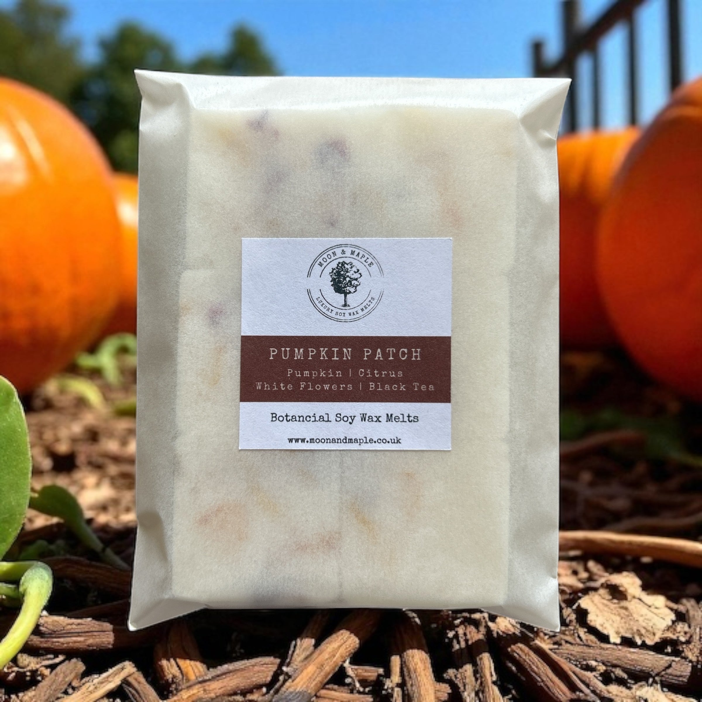 Pack of botanical soy wax melts labeled 'Pumpkin Patch' with pumpkins in the background.