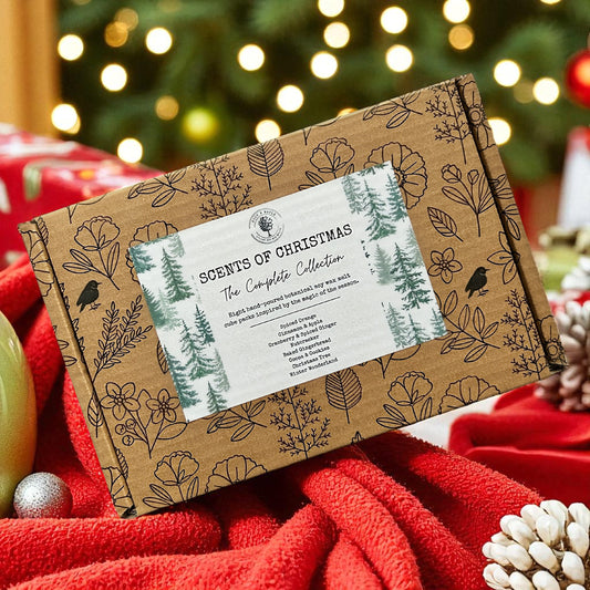 Scents of Christmas Wax Melt Gift Box – The Complete Christmas Collection